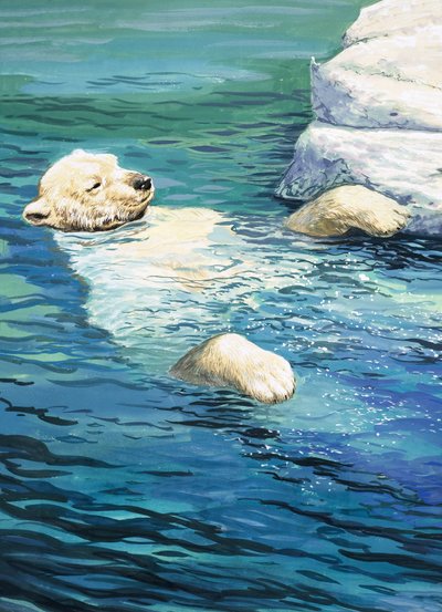 Playful Polar Bear, Illustration from 